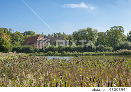 Landscape near Gut Gueldenstein in Harmsdorf Landscape near Gut Gueldenstein in Harmsdorf 48008944