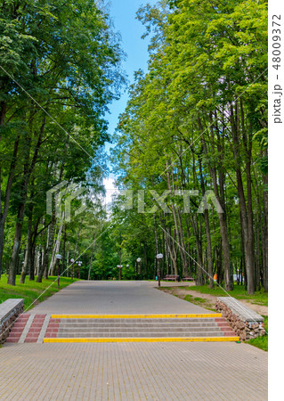 A beautiful view of the calm. The alley in the par A beautiful view of the calm. The alley in the par 48009372