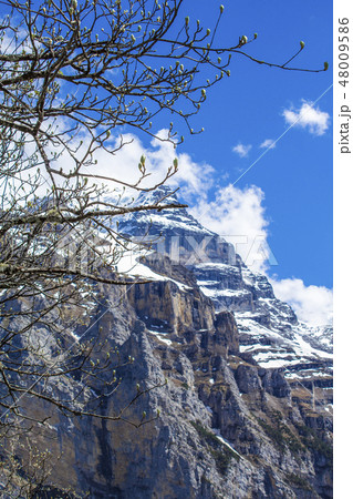 Swiss Alps. Alpine mountains. Mountain landscape.  48009586