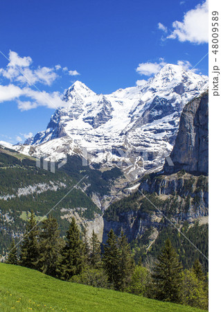 Swiss Alps. Alpine mountains. Mountain landscape. Swiss Alps. Alpine mountains. Mountain landscape. 48009589