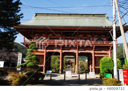 甲州善光寺山門(山梨県甲府市) 甲州善光寺山門(山梨県甲府市) 48009732
