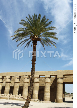 Ancient ruins in Karnak Temple, Luxor, Egypt 48010225