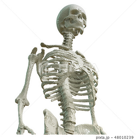 3d printed skeleton isolated 3d printed skeleton isolated 48010239