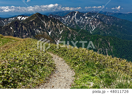 谷川連峰・茂倉岳から見る上越国境稜線 谷川連峰・茂倉岳から見る上越国境稜線 48011726