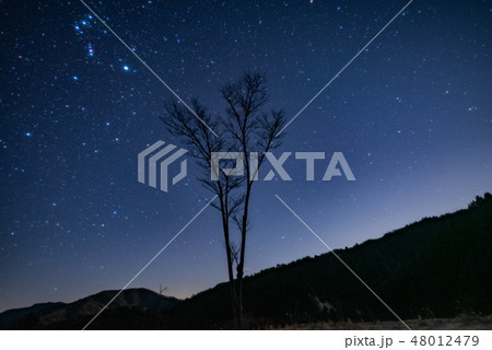 阿智村　星空 48012479