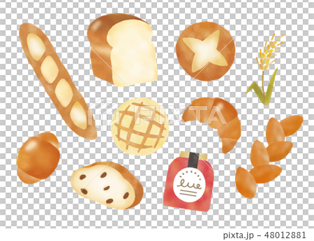 パン色々水彩風 48012881