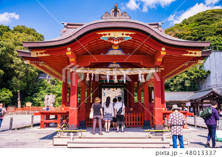 鶴岡八幡宮（つるがおかはちまんぐう） 48013337