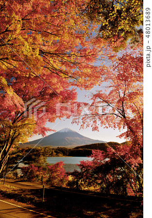 Mt.Fuji in autumn Mt.Fuji in autumn 48013689