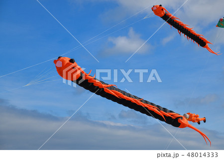 Kite flying caterpillar flying against the sky Kite flying caterpillar flying against the sky 48014333