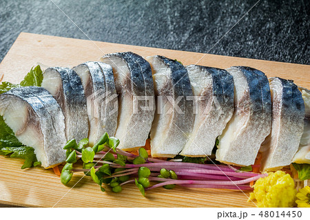 しめさば　Japan gourmet tighten mackerel 48014450