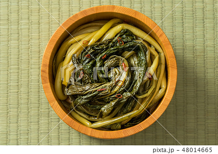 本格的な野沢菜　Pickles of Nozawana of Nagano  48014665