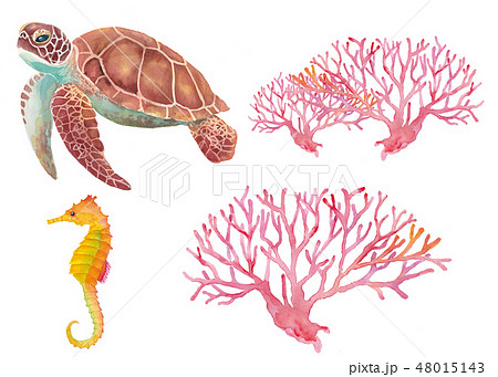 海のいきもの ウミガメ サンゴ タツノオトシゴのイラスト素材 48015143 Pixta