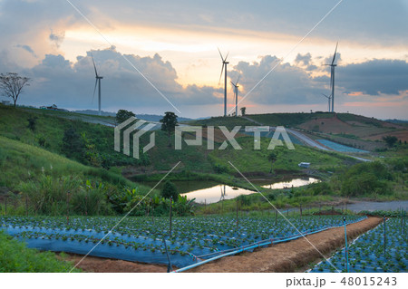 Renewable energy 48015243