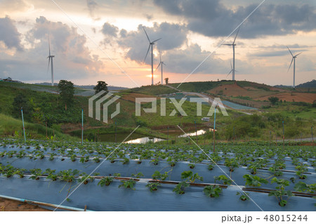 Renewable Energy 48015244