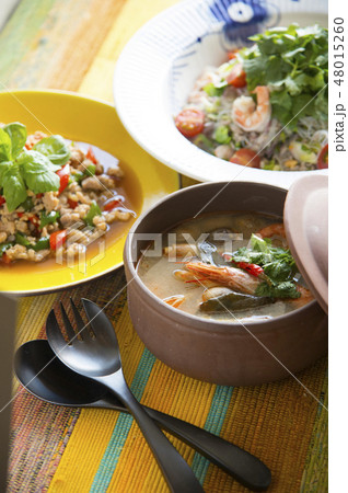 タイ料理 48015260