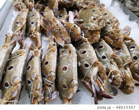 crab on ice sold in supermarket. 48015307