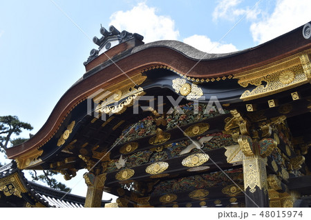 二条城　唐門 48015974