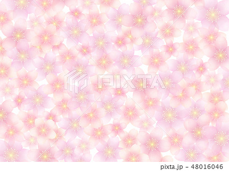 桜の花 背景 桜の花 背景 48016046
