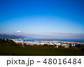 日本平のお茶畑より眺める富士山 48016484