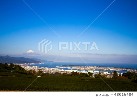 日本平のお茶畑より眺める富士山 48016484