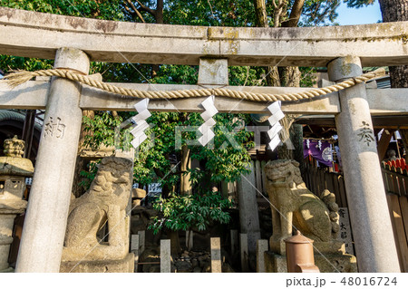 初詣 石鳥居 神社境内 48016724