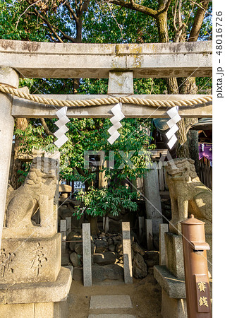 初詣 石鳥居 神社境内 初詣 石鳥居 神社境内 48016726