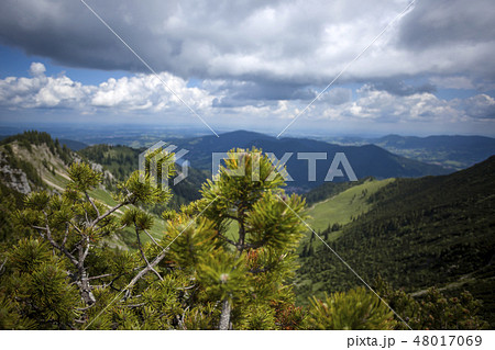 Mountain panorama view of Brecherspitze, Bavaria 48017069