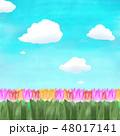 春と花 48017141