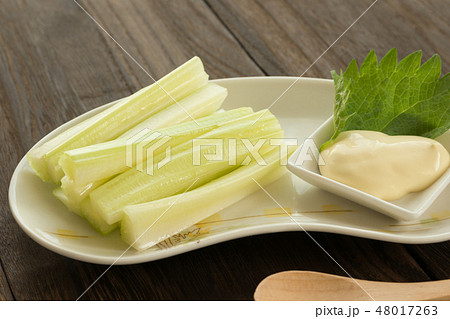 セロリのスティック セロリのスティック 48017263