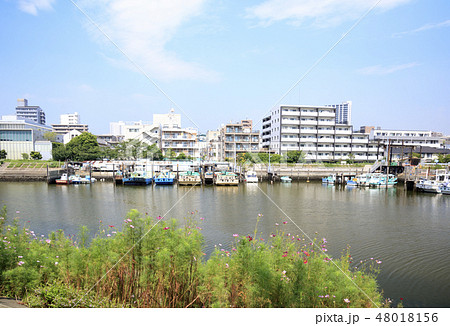 立会川 立会川 48018156