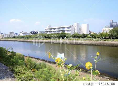 立会川 立会川 48018160