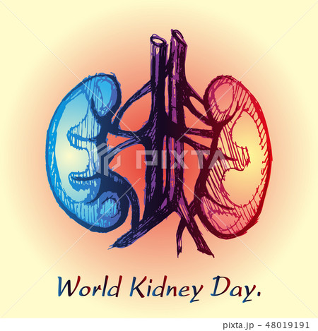 World Kidney Day. 48019191