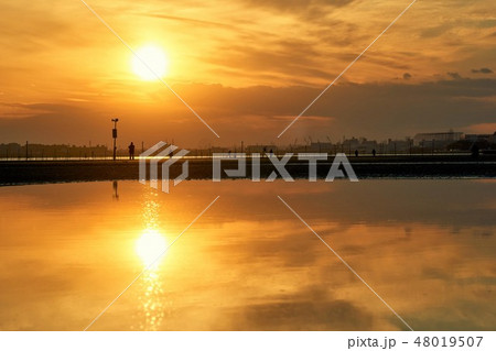 千葉県　干潟の夕日　ふなばし三番瀬海浜公園 48019507