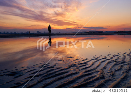 千葉県　干潟の夕焼け　ふなばし三番瀬海浜公園 48019511