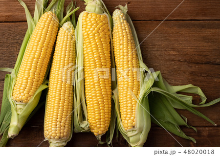Fresh corn on cobs on rustic wooden table. 48020018