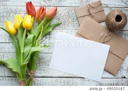 Fresh yellow tulips and empty tag. 48020187