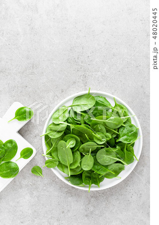 Fresh spinach leaves Fresh spinach leaves 48020445