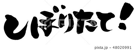 筆文字　しぼりたて！　プロモーション　イラスト 48020991