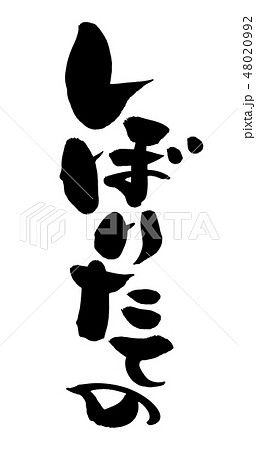 筆文字　しぼりたての　蔵開き　イラスト 48020992