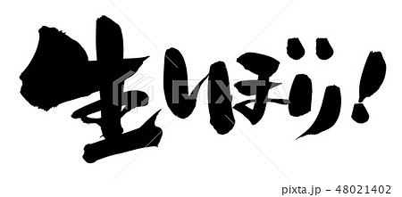 筆文字　生しぼり　蔵開き　イラスト　 48021402