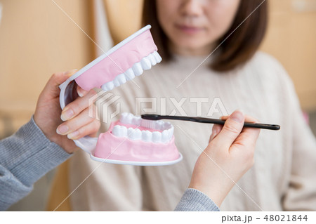 歯磨き指導(奥歯) 歯磨き指導(奥歯) 48021844