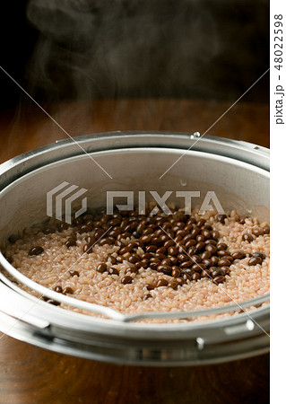 酵素玄米 48022598