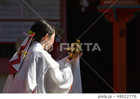 神楽を舞う巫女さん 神楽を舞う巫女さん 48022776