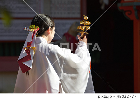神楽を舞う巫女さん 48022777