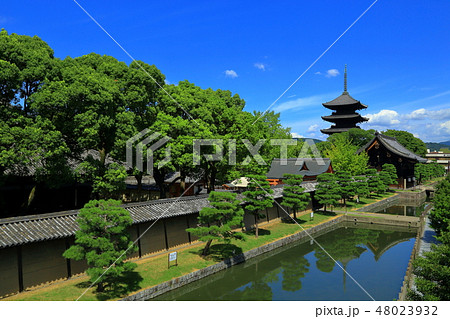京都 東寺 京都 東寺 48023932