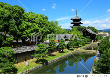 京都 東寺 京都 東寺 48023933