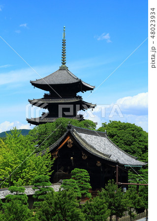 京都 東寺 京都 東寺 48023934