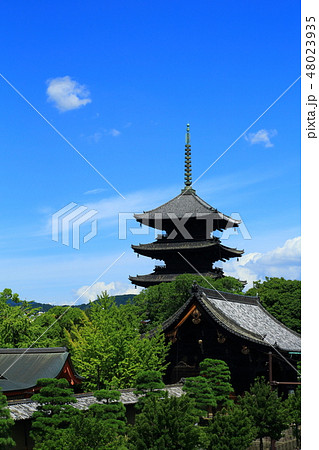 京都 東寺 京都 東寺 48023935