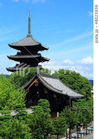 京都　東寺 48023936