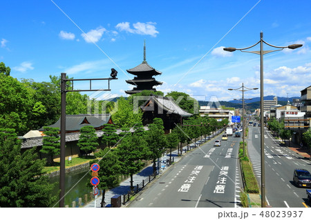 京都 東寺と市街地風景 京都 東寺と市街地風景 48023937